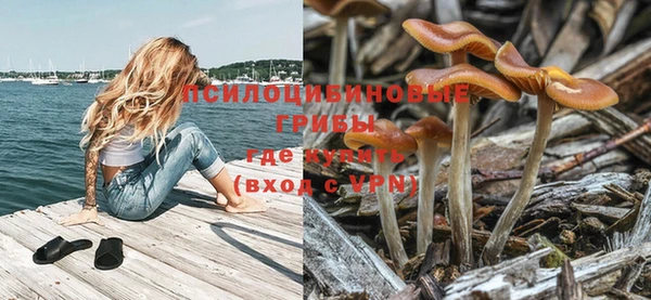 крисы Заволжск