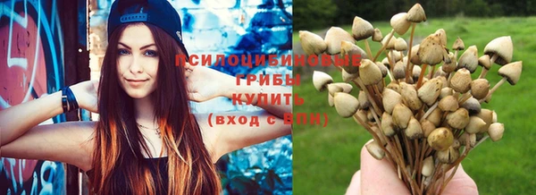 крисы Заволжск